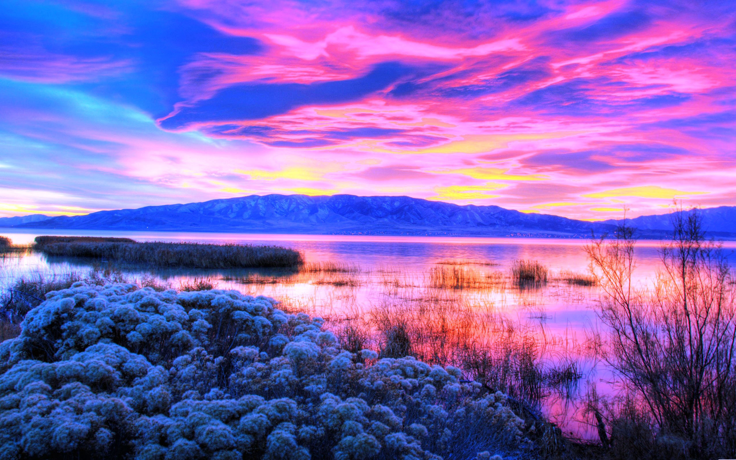 网站自动更新配置尝试